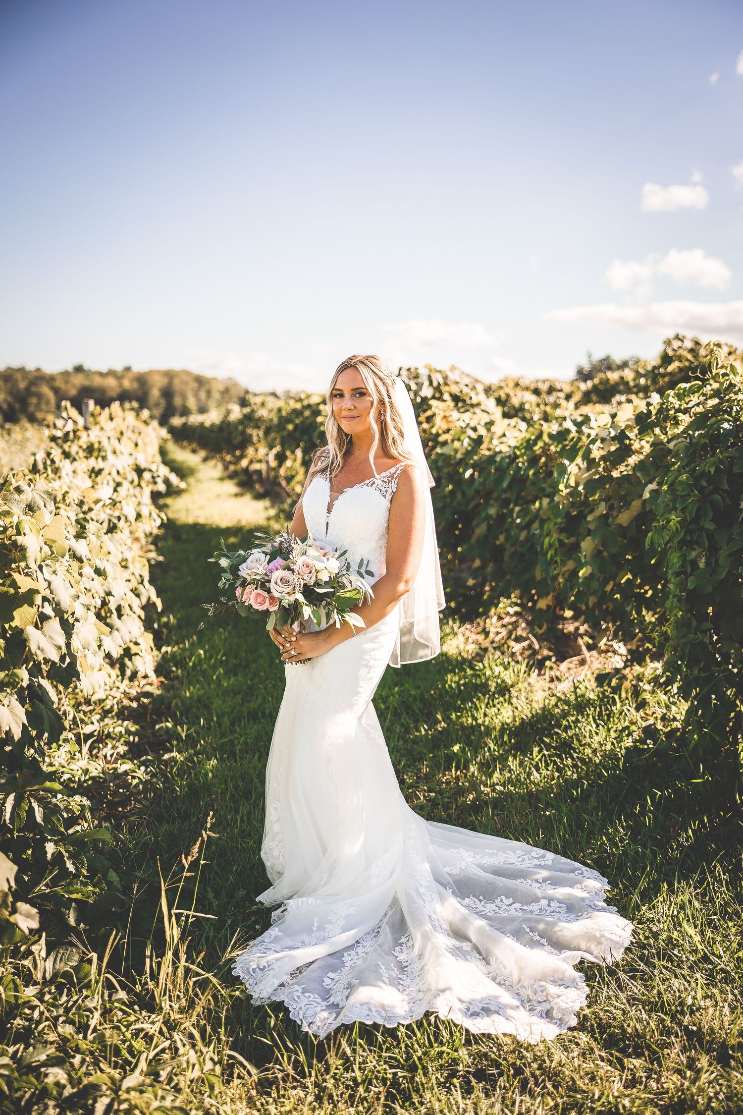 Bride in lace wedding gown poses elegantly in sunlit vineyard during golden hour photography session.