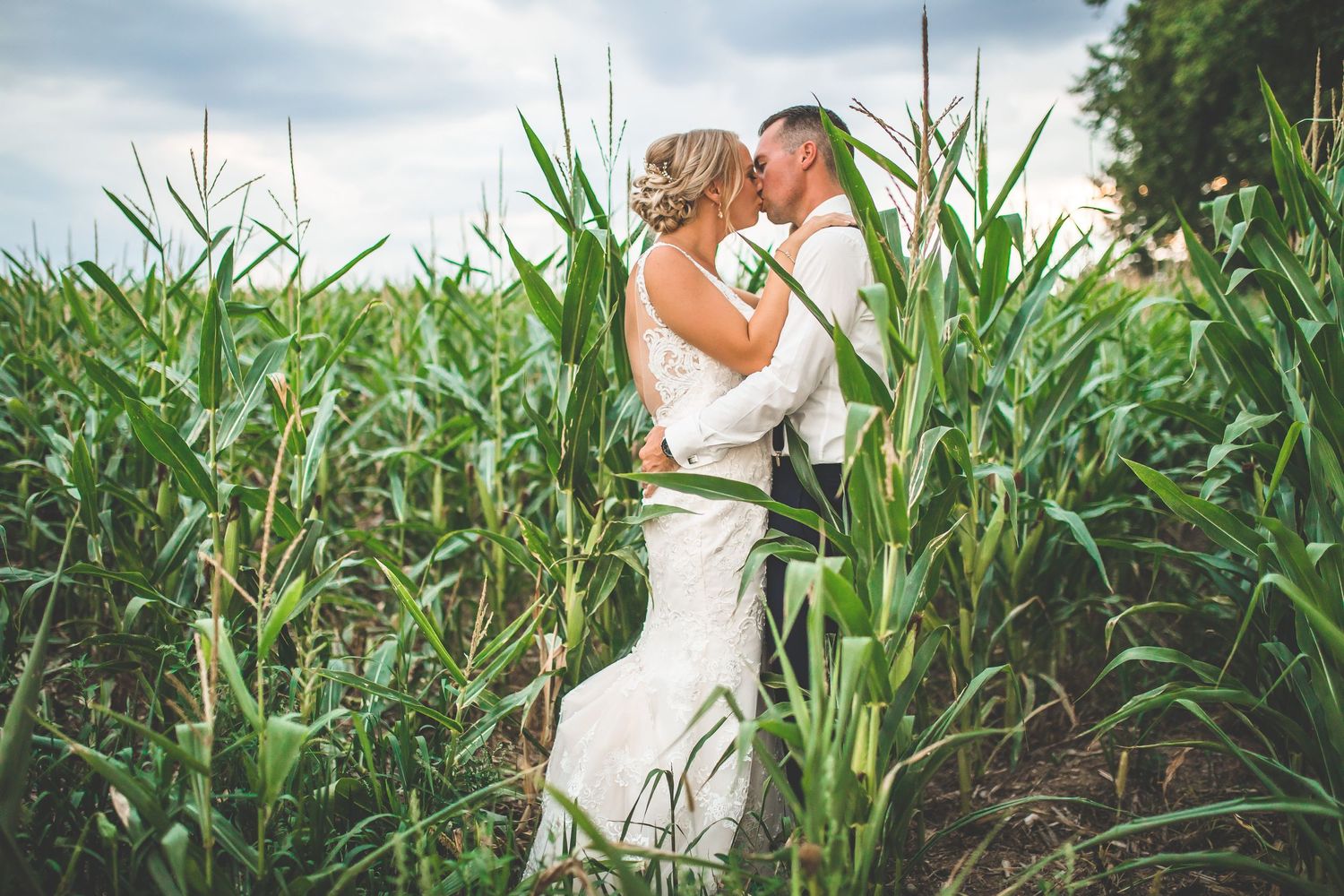 A romantic wedding portrait of a couple embracing among tall stalks of corn in a rural field.