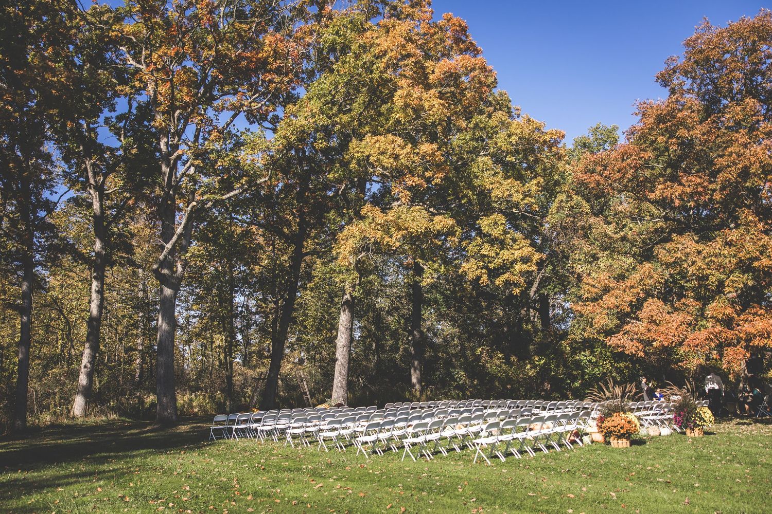 White chairs arranged for an outdoor ceremony with fall foliage and trees in the background.