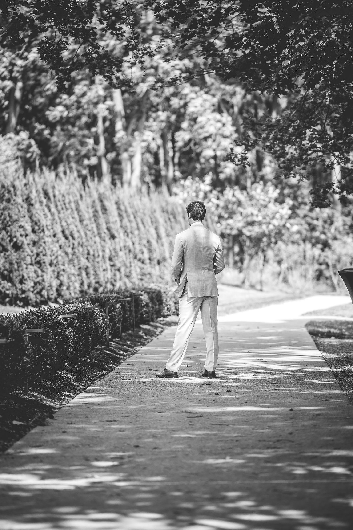 Black and white photo series showing a path lined with trees and flowers on a sunny day.
