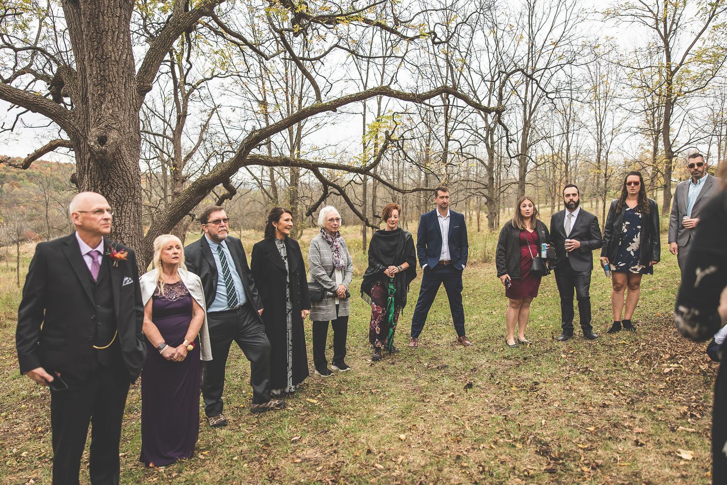 Wedding guests and party members line up along wooded path for group photos.