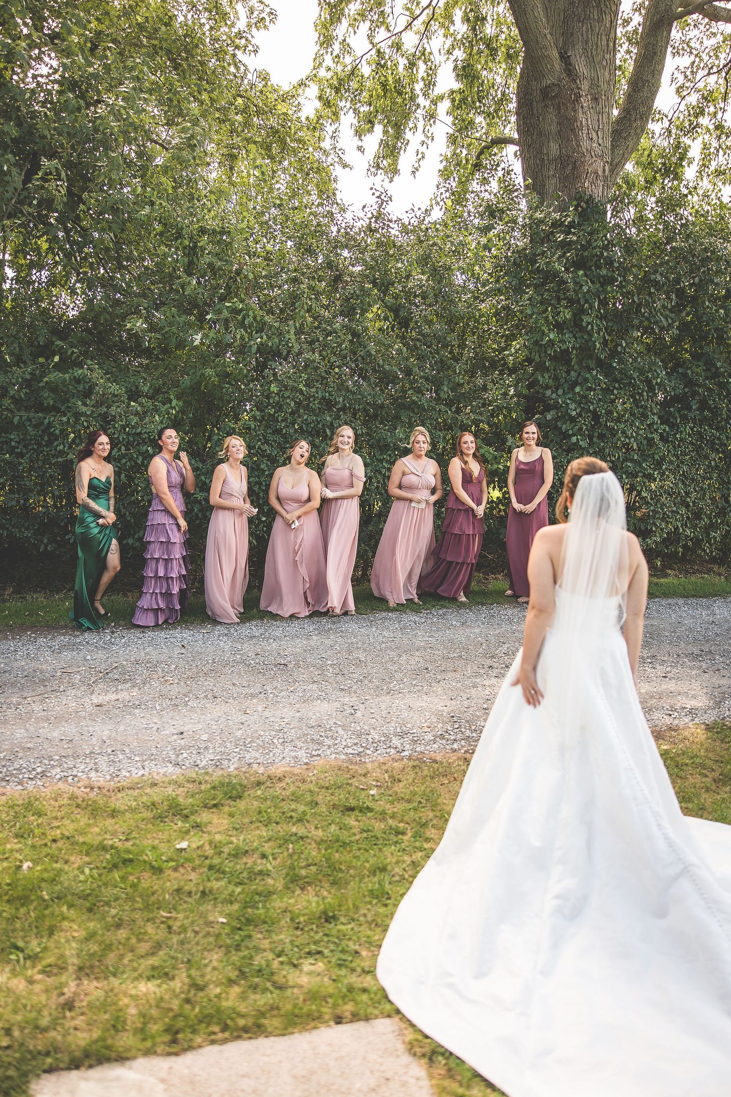 Bridal party in mauve dresses stands in a line outdoors while viewing the bride's dress reveal.