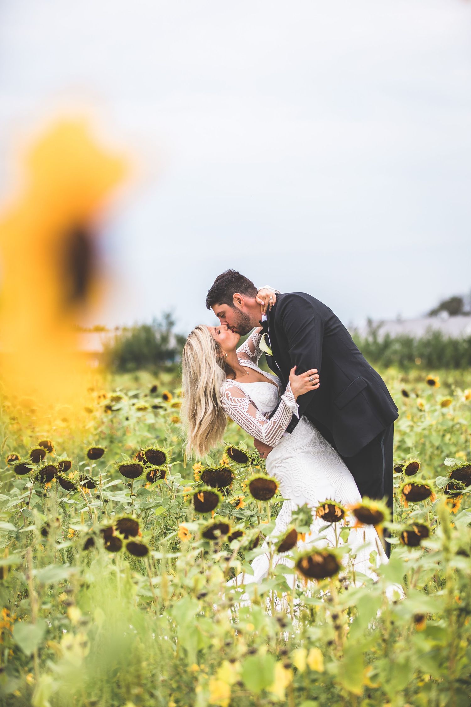 A romantic wedding couple shares a kiss in a sunflower field on their special day.