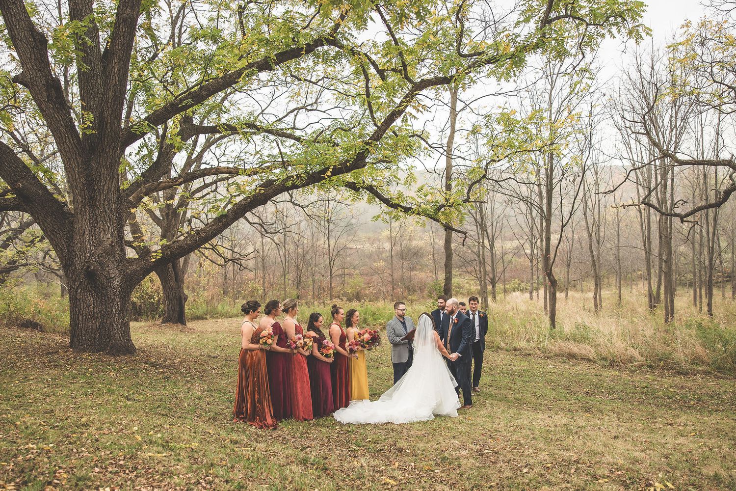 Wedding party stands beneath a large tree during autumn outdoor ceremony.