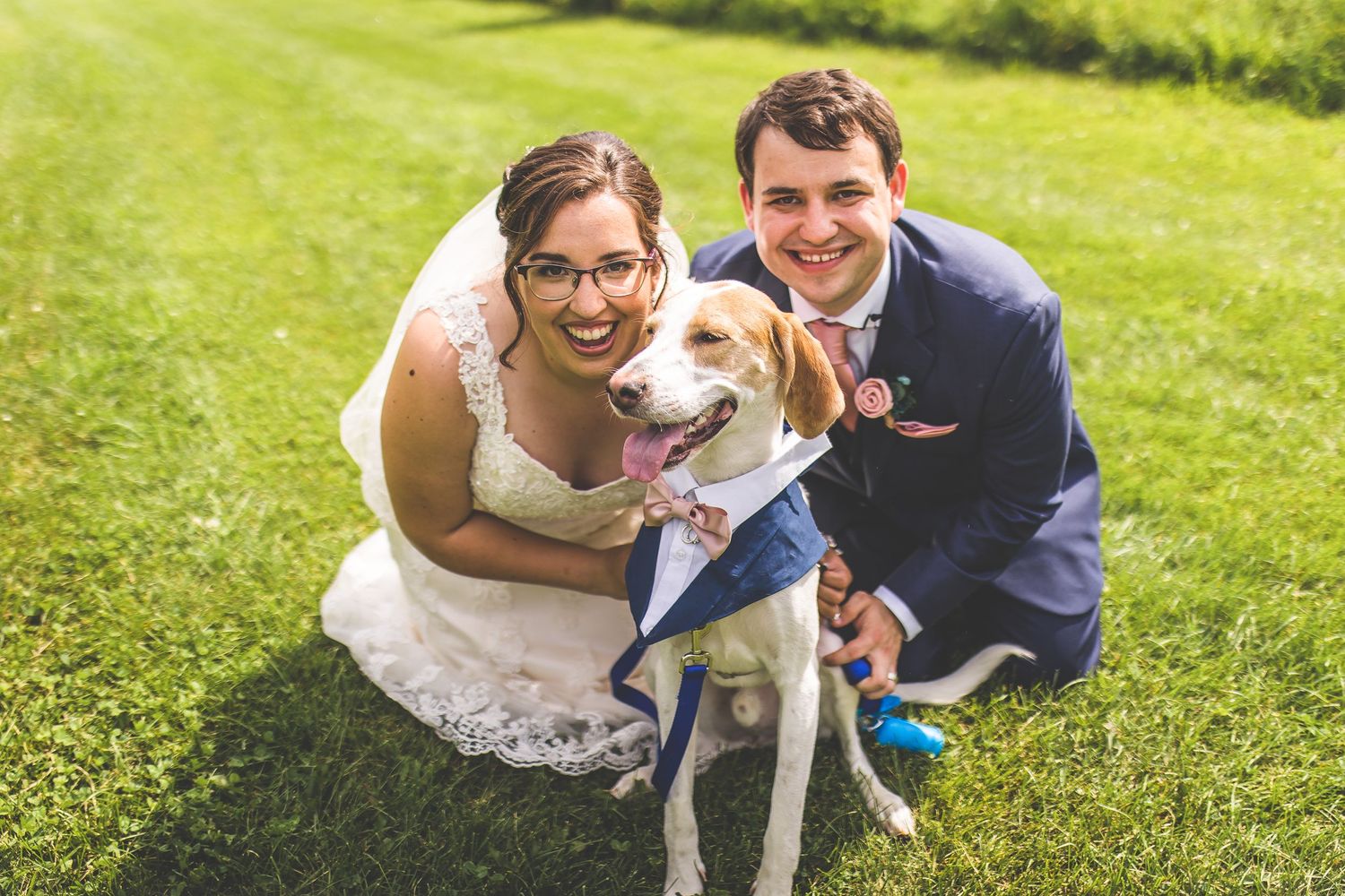 A couple kneels on grass with their white and brown dog during outdoor wedding photos.