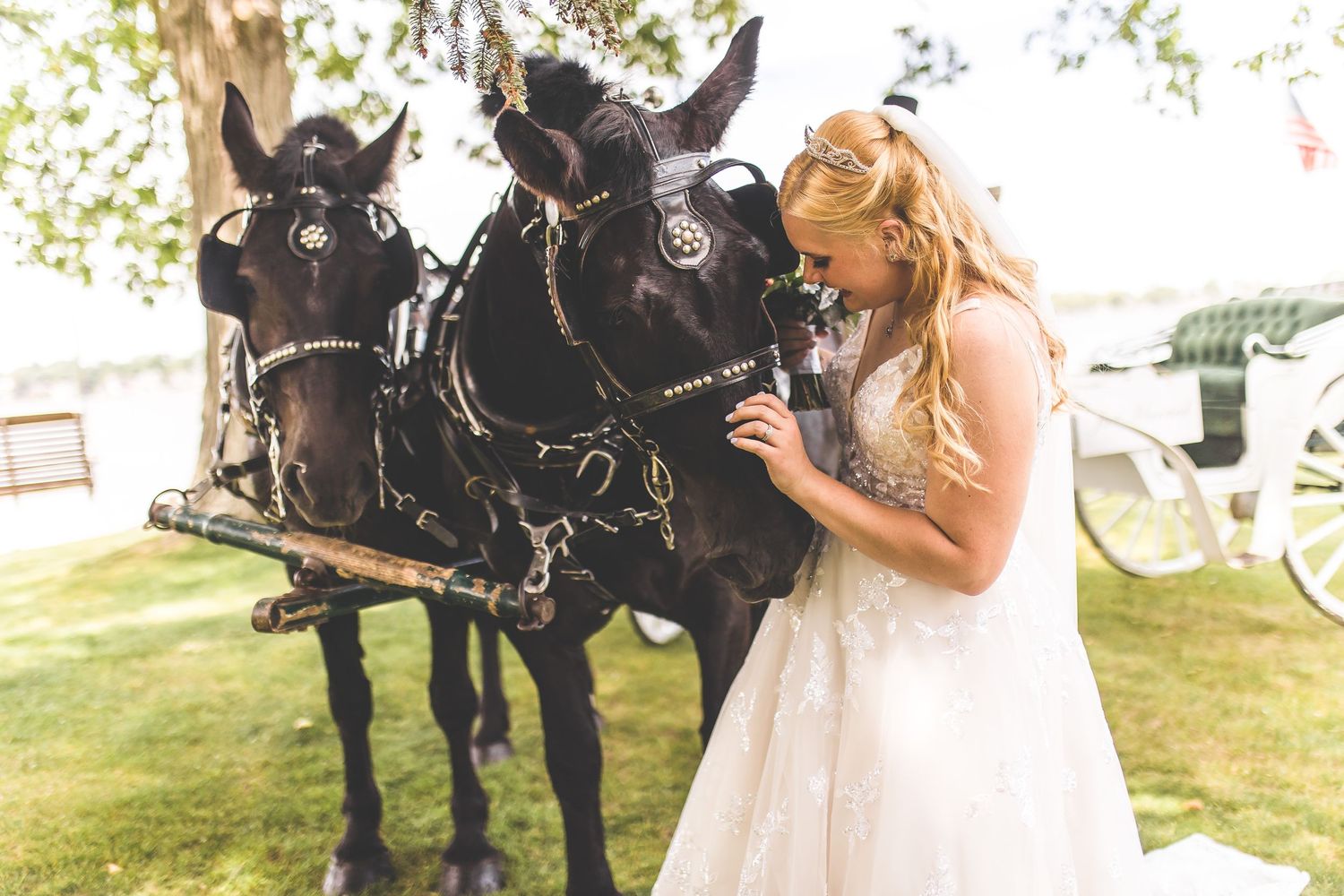 A black horse stands elegantly next to a wedding party on a grassy lawn by the water.