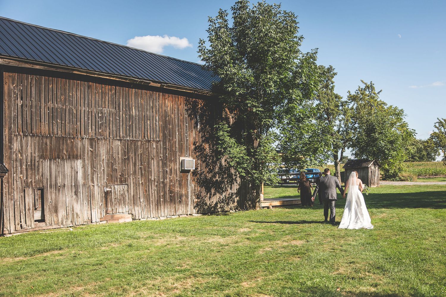 Rustic barn wedding venue with wooden buildings and green grass under blue skies.