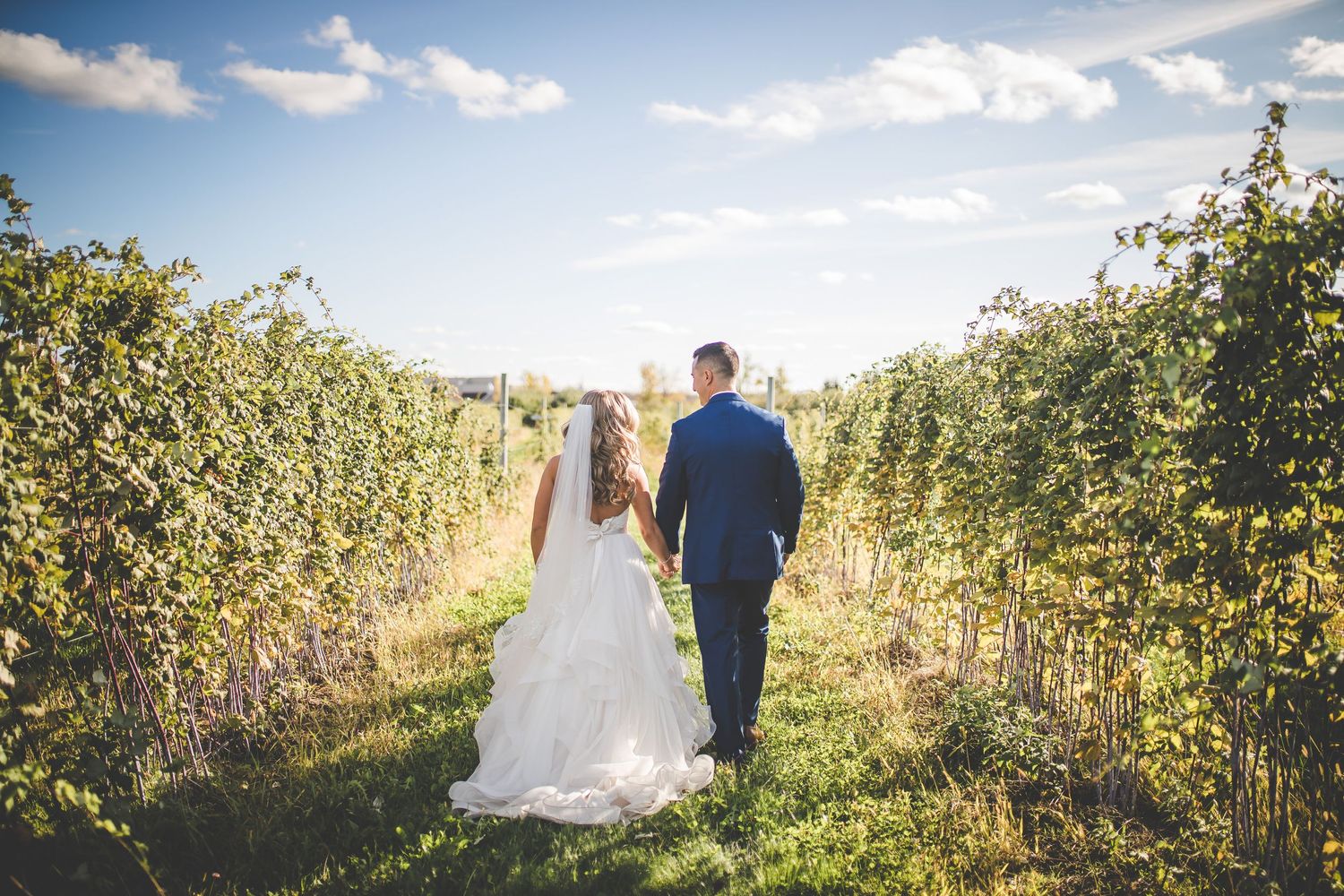 Wedding couple walks through a scenic field with golden sunlight filtering through trees.