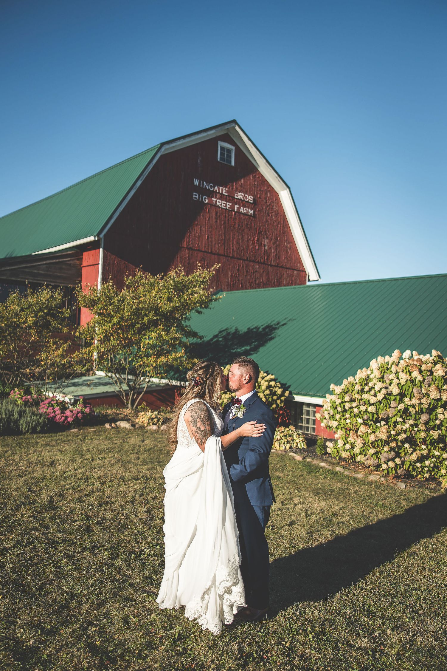 Wedding couple poses near red barn with green roof and blooming hydrangea bushes.