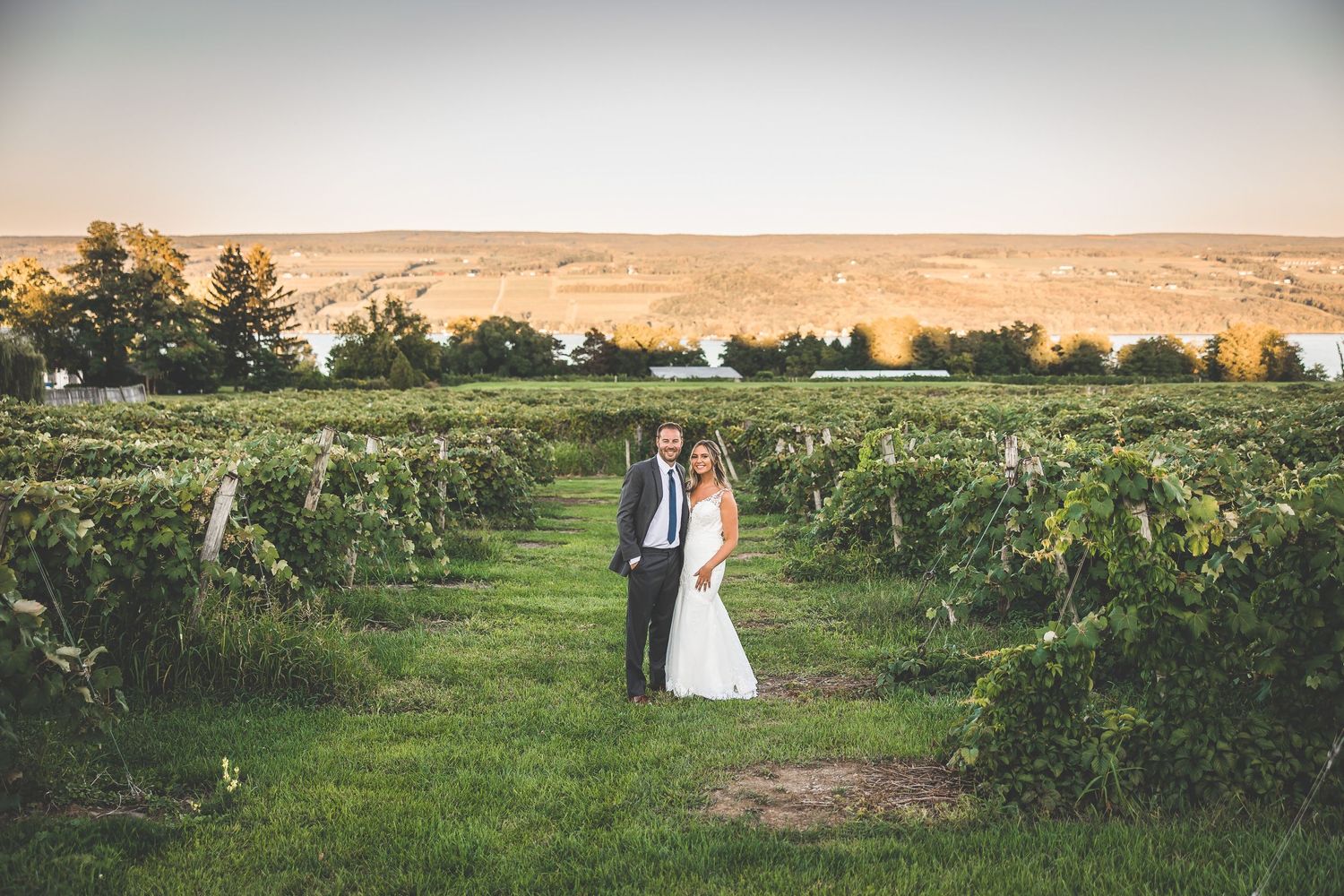 Panoramic vineyard wedding photo with couple walking among the grape vines at sunset.