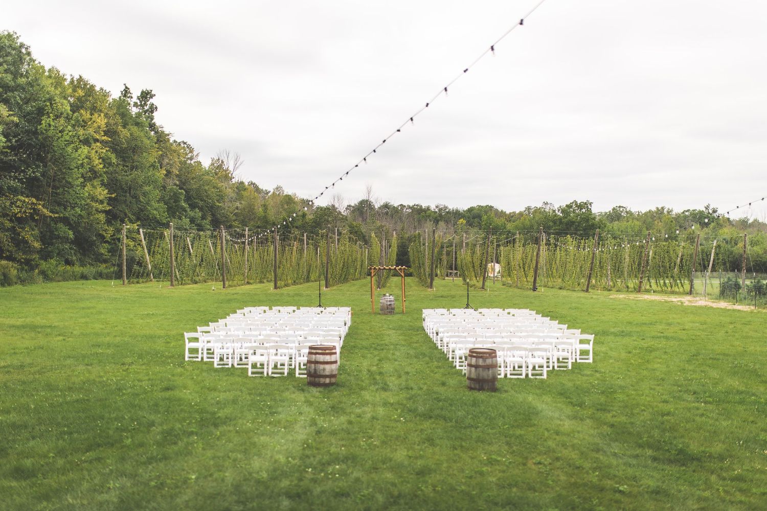 White wedding chairs arranged in rows on a lush green lawn for an outdoor ceremony.