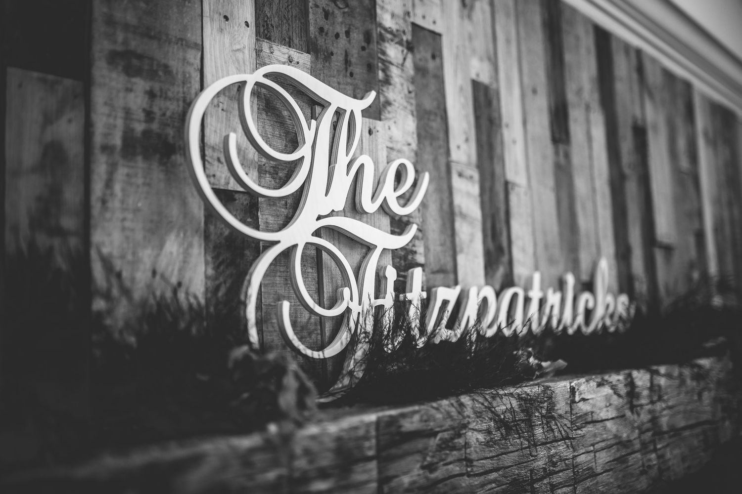 Elegant script text reading 'The Fitzpatrick' on rustic wooden background.