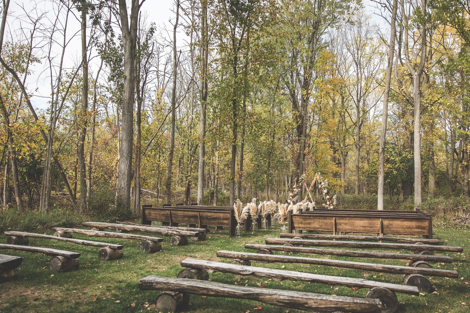 Natural woodland wedding ceremony site with wooden bench seating arranged in rows.