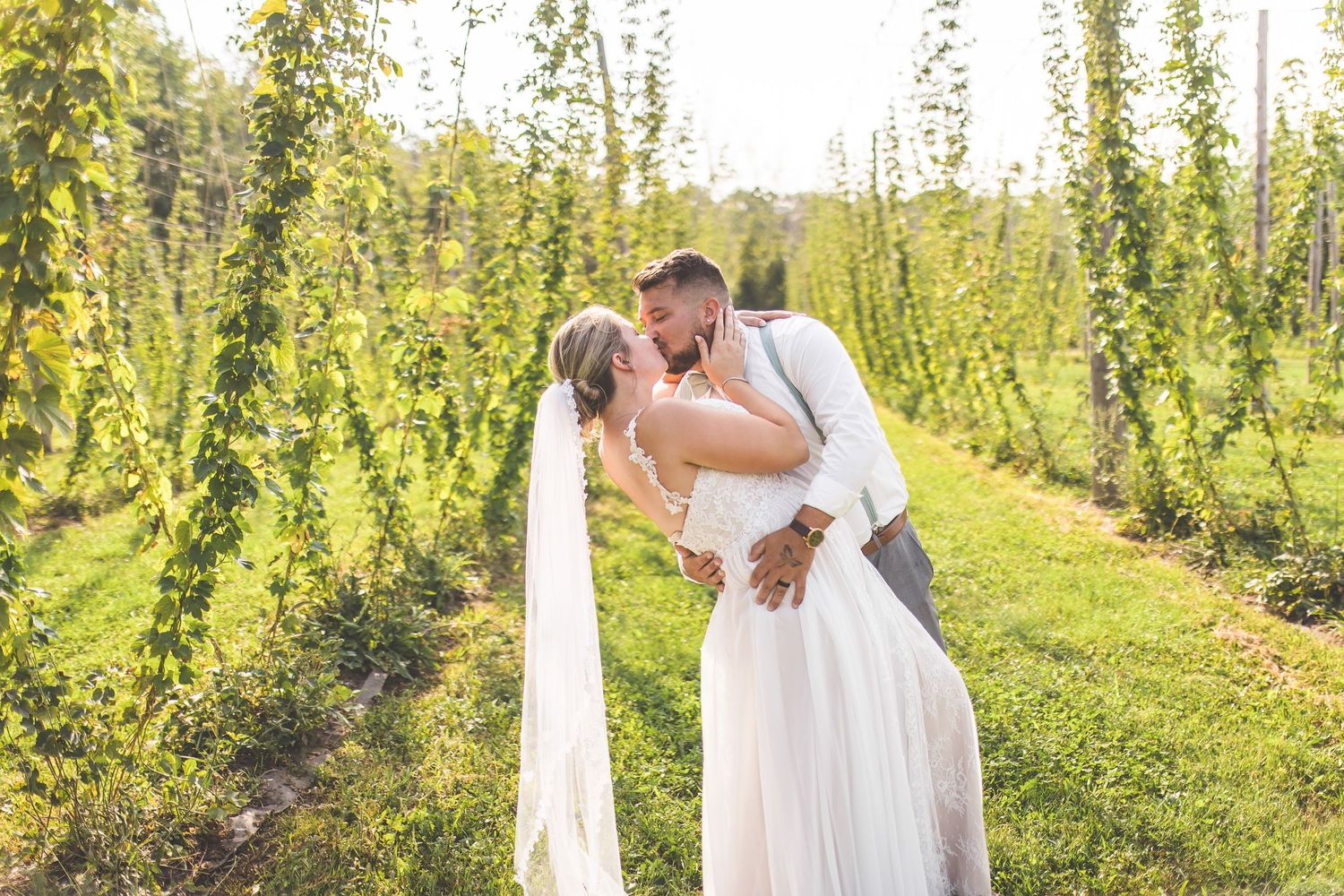 Wedding photography session in a picturesque hop farm with climbing vines.