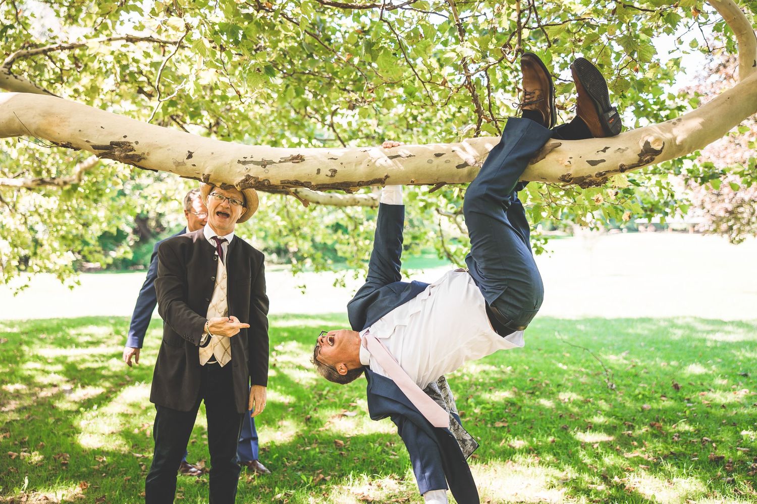 Wedding party members climb and hang from a large tree branch outdoors.