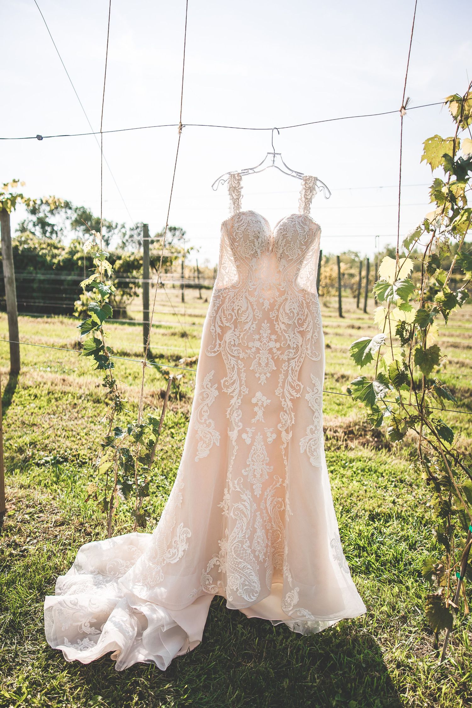 Blush lace wedding dress hanging outdoors against a vineyard backdrop.