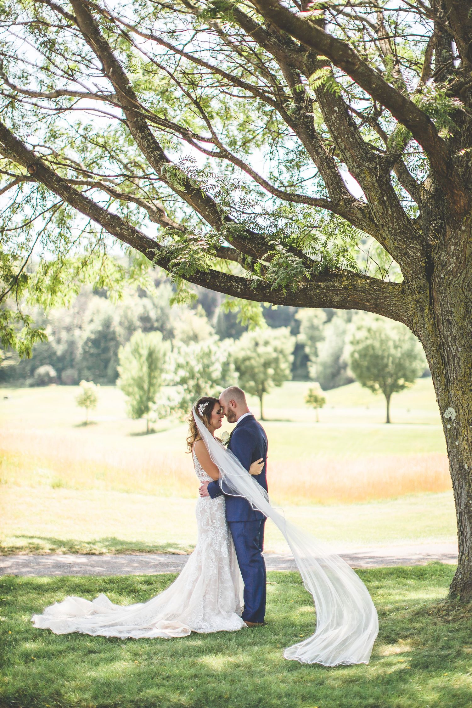 A couple embraces under a large tree with a flowing veil in a scenic countryside setting.