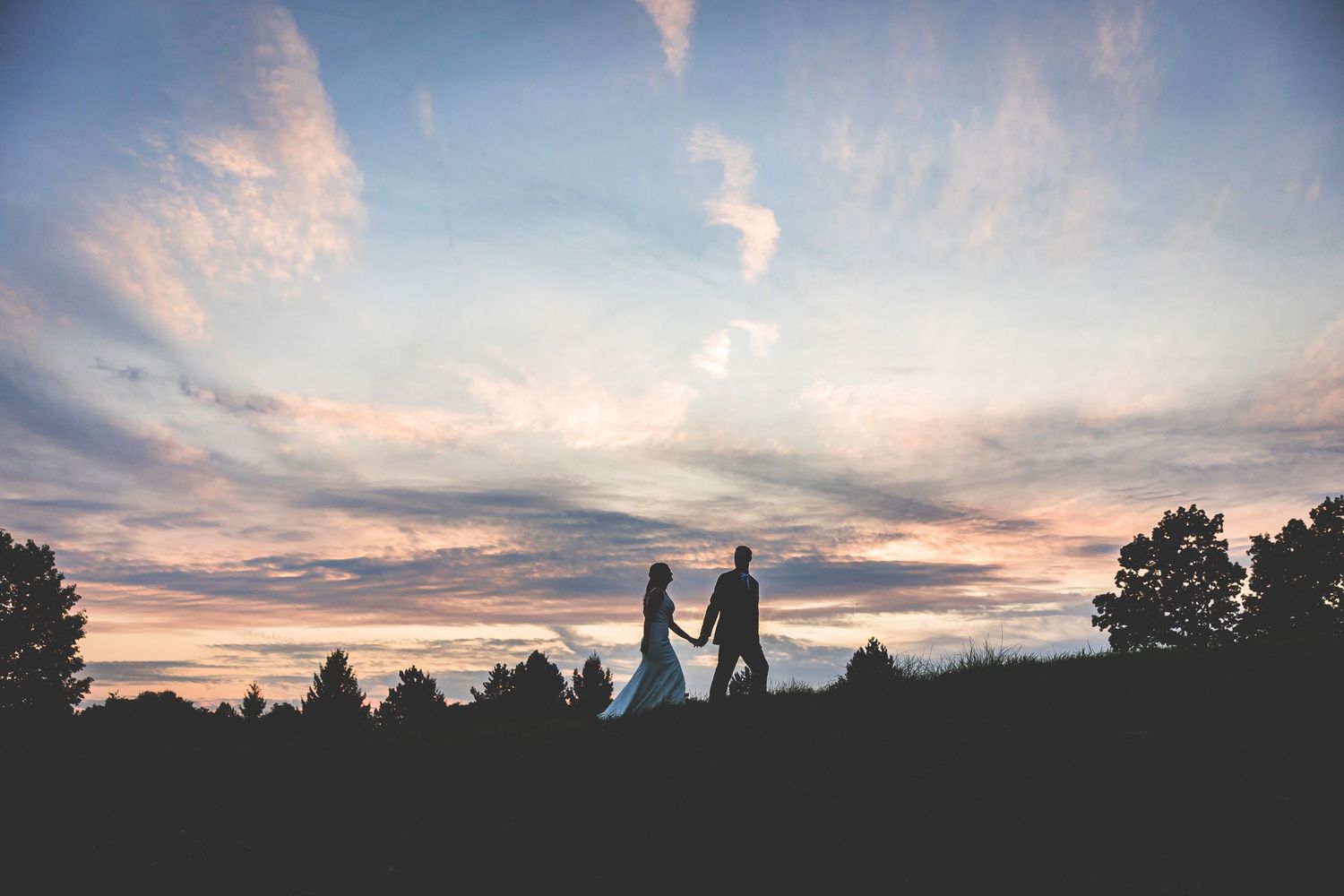 Panoramic sunset view with silhouetted trees and pink clouds at an outdoor wedding venue.
