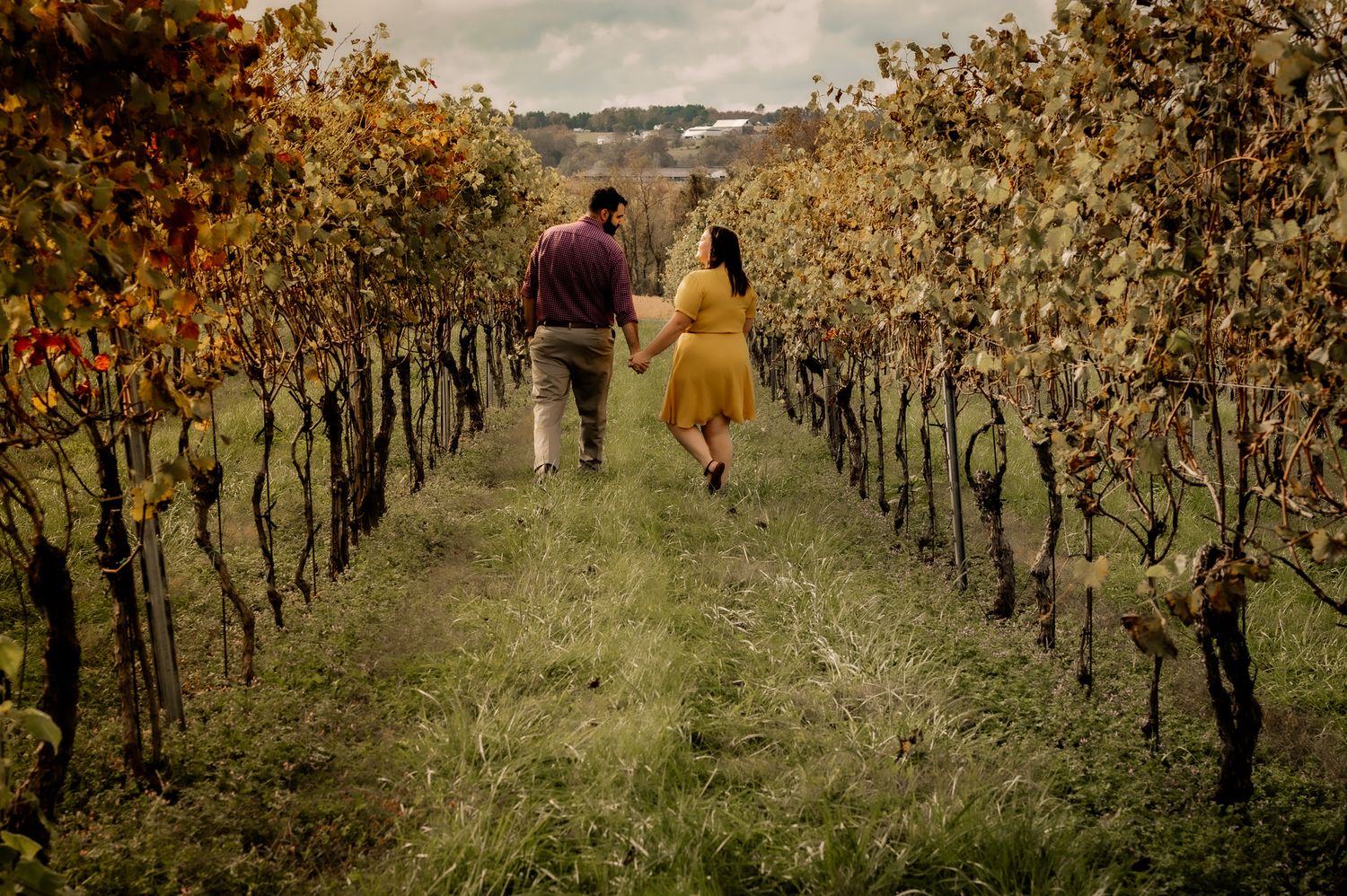 Couple walking through autumn vineyard rows with golden foliage.