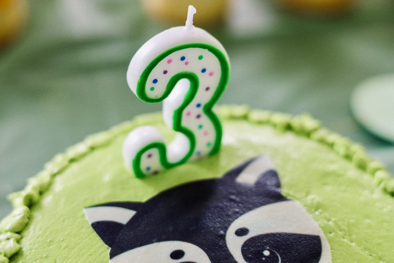 Green frosted cake decorated with a cute raccoon face design.