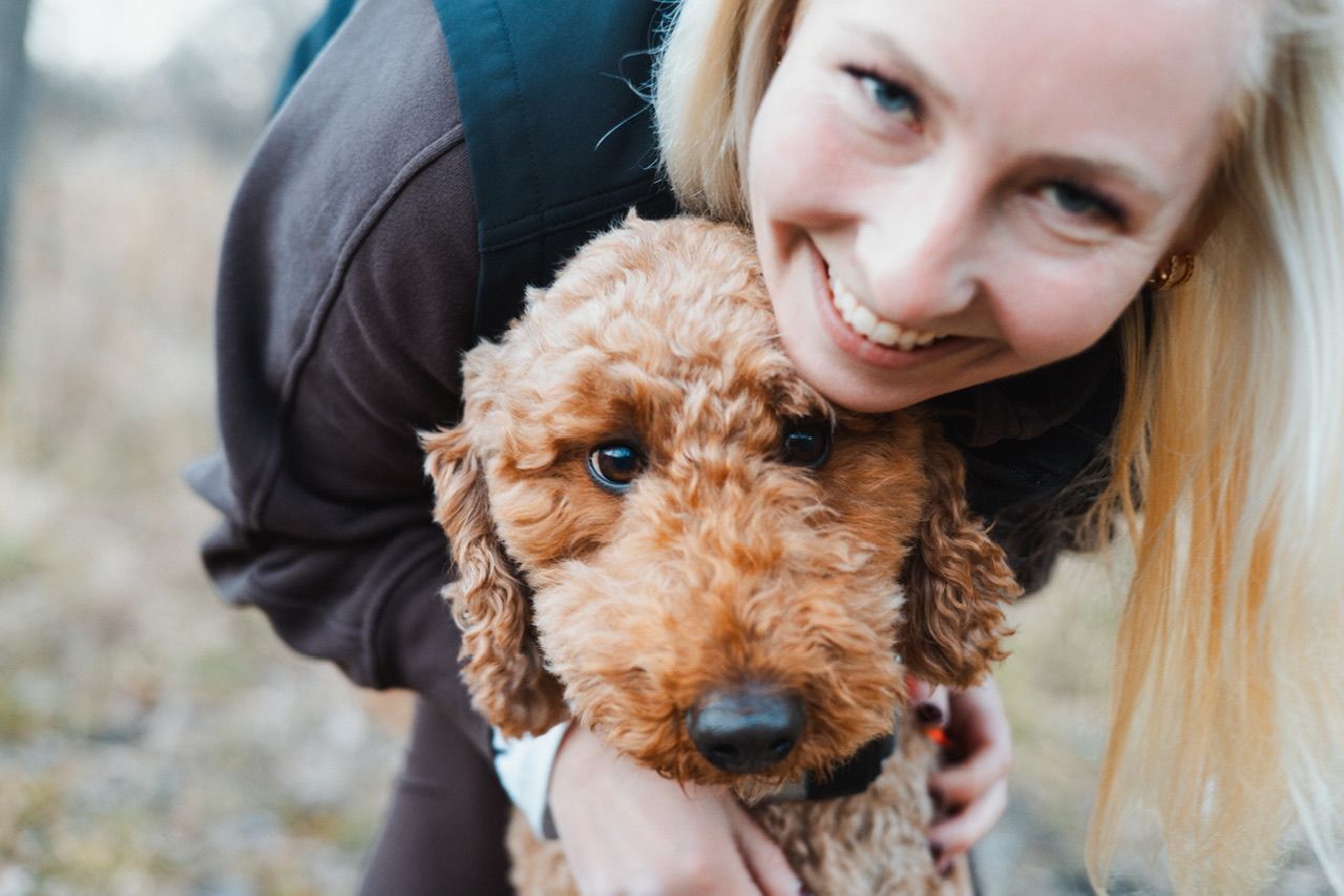 Person snuggling with their adorable brown toy poodle mix dog outdoors.