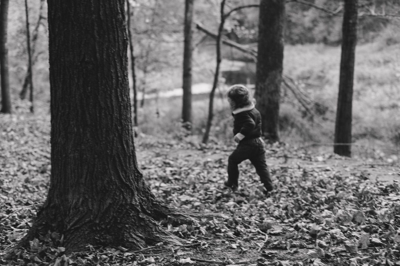 Silhouette of figure playing in fallen leaves between tall trees in a forest.