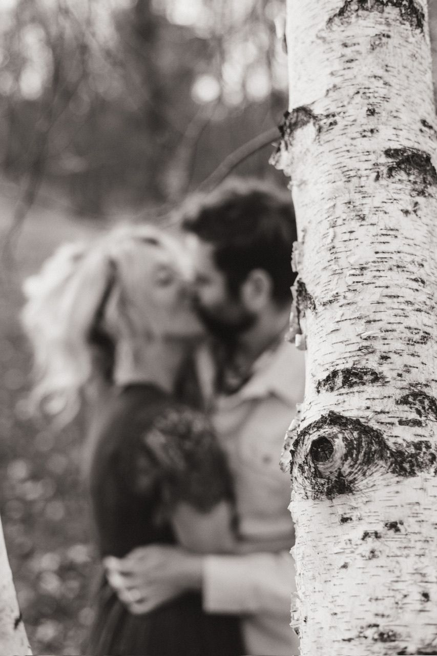 Close-up of birch tree trunk with blurred romantic couple in background.