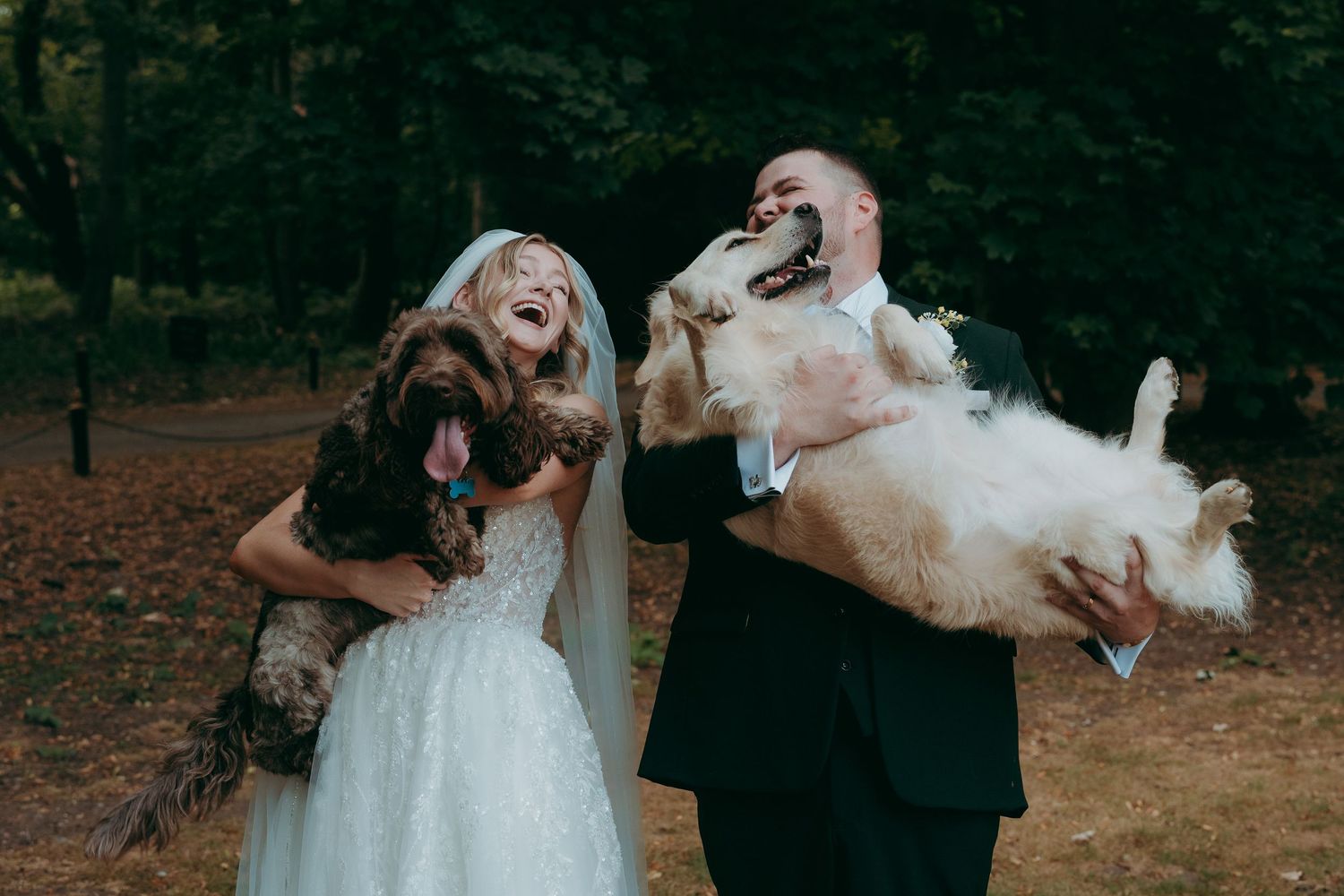 Bride and groom laughing while holding their two dogs during an outdoor wedding photo session in a forest.