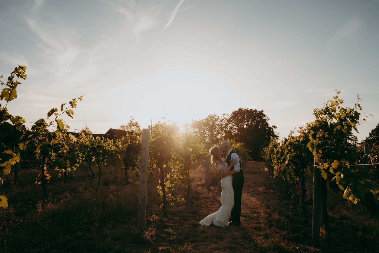 Bride and groom embracing in a sunlit vineyard at golden hour, surrounded by lush green grapevines.