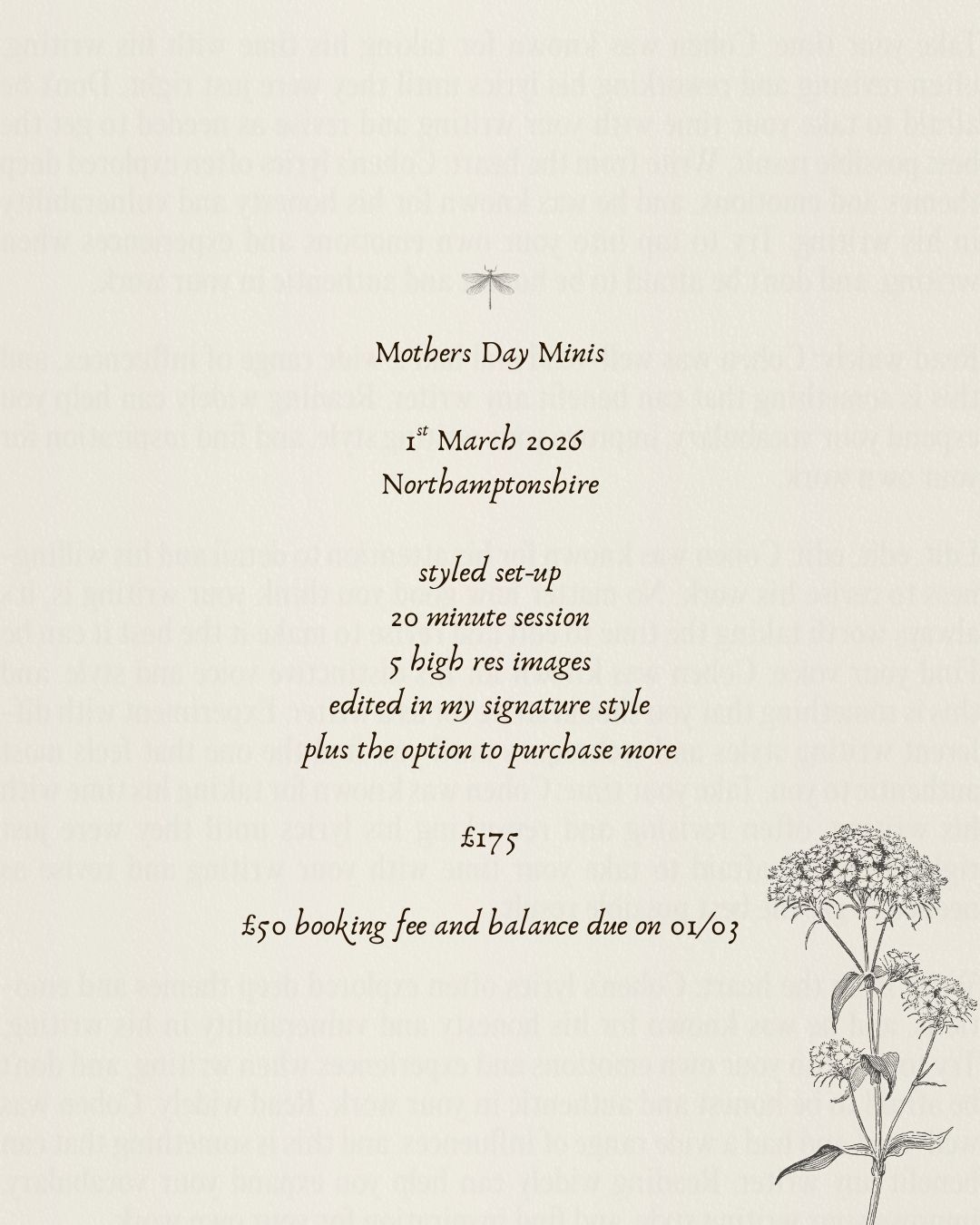 A minimalist floral design with delicate line drawings of flowers and text details about a Mother's Day mini session.
