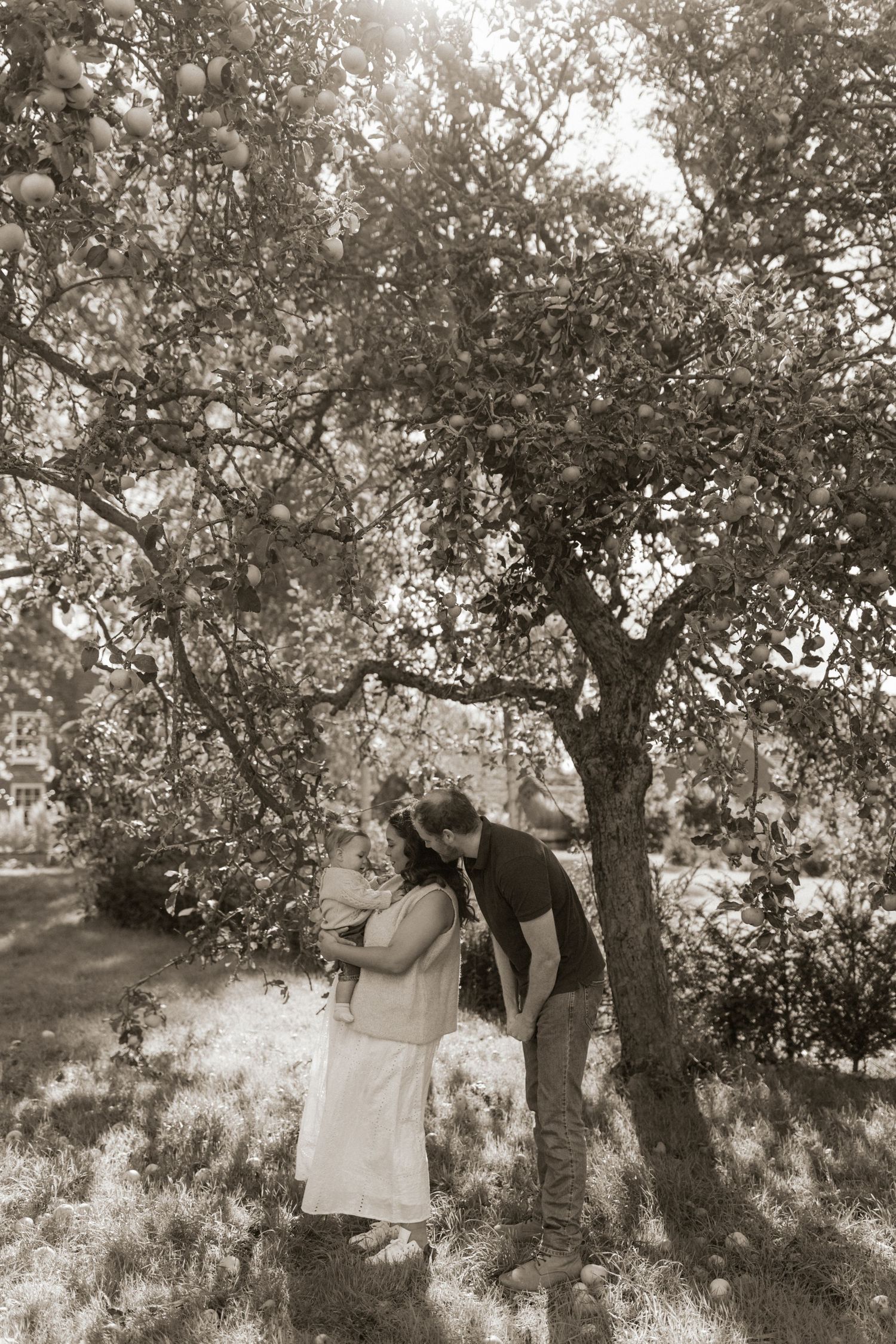 A romantic couple shares intimate moments under olive trees in a rustic black and white photo series.