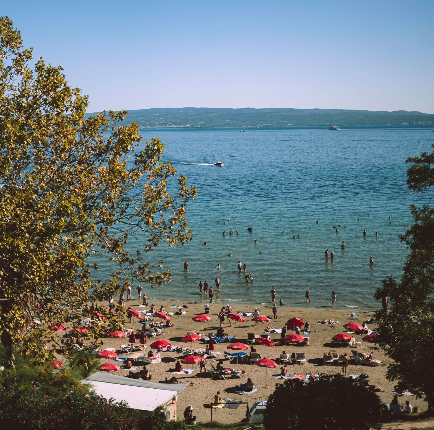 Crowded Croatian beach with red umbrellas and swimmers enjoying the calm turquoise waters on a sunny summer day.