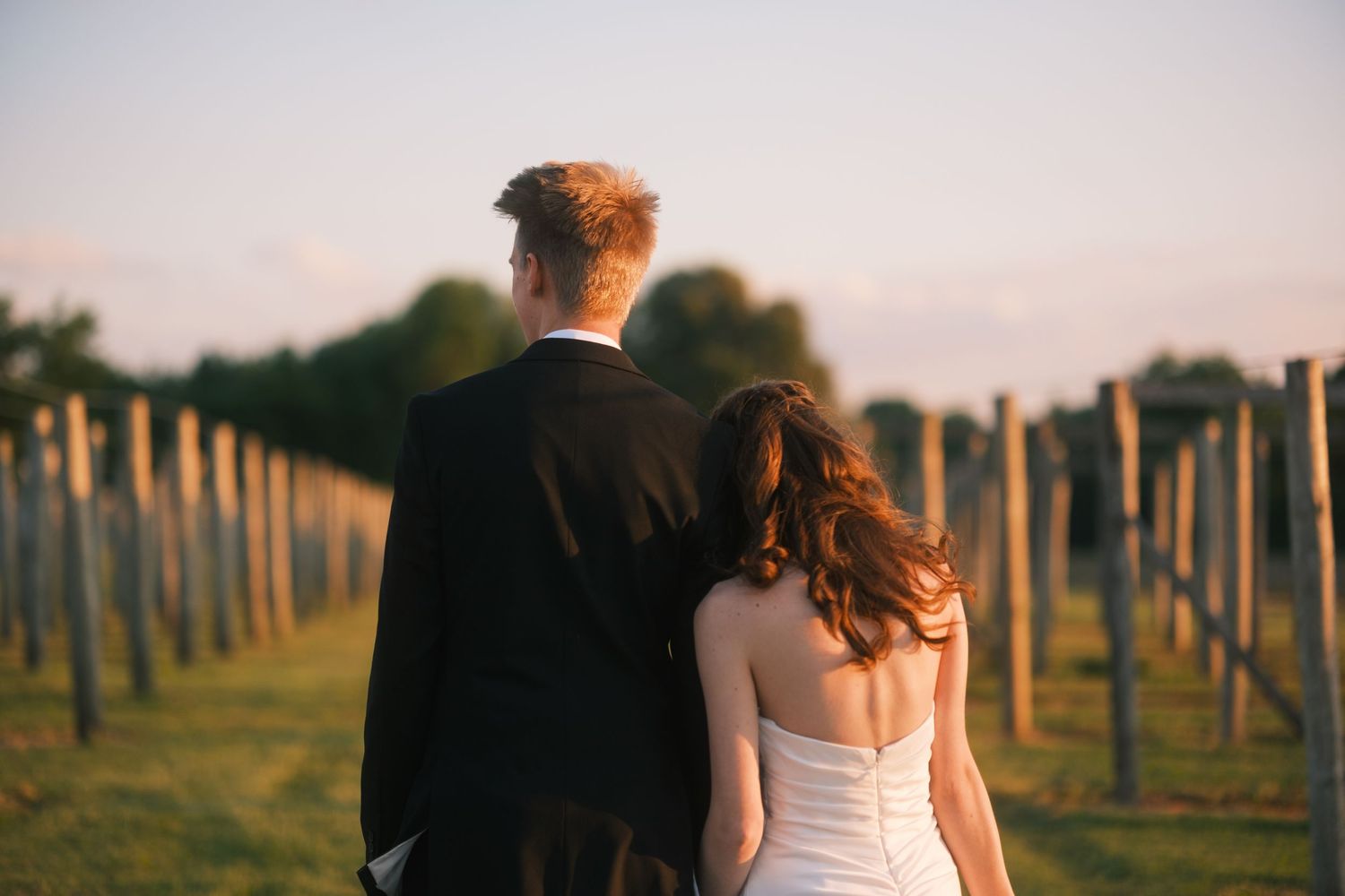 Bride and groom walking hand in hand through a vineyard at dusk, viewed from behind.