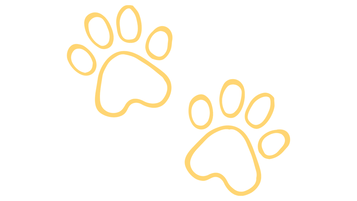 Two yellow outline paw print icons on a white background.