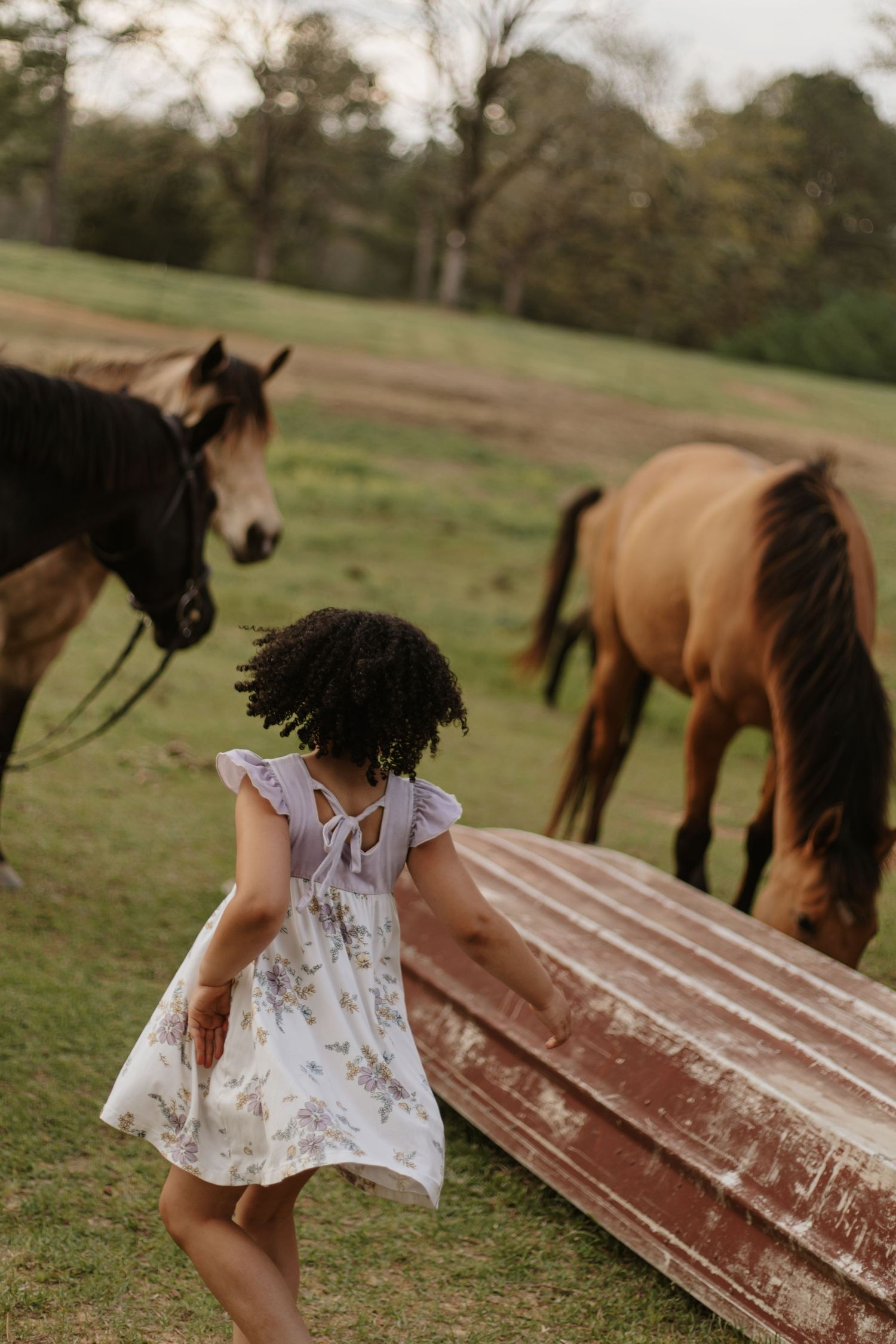 Young girl in floral dress walking toward horses grazing in a green pasture.