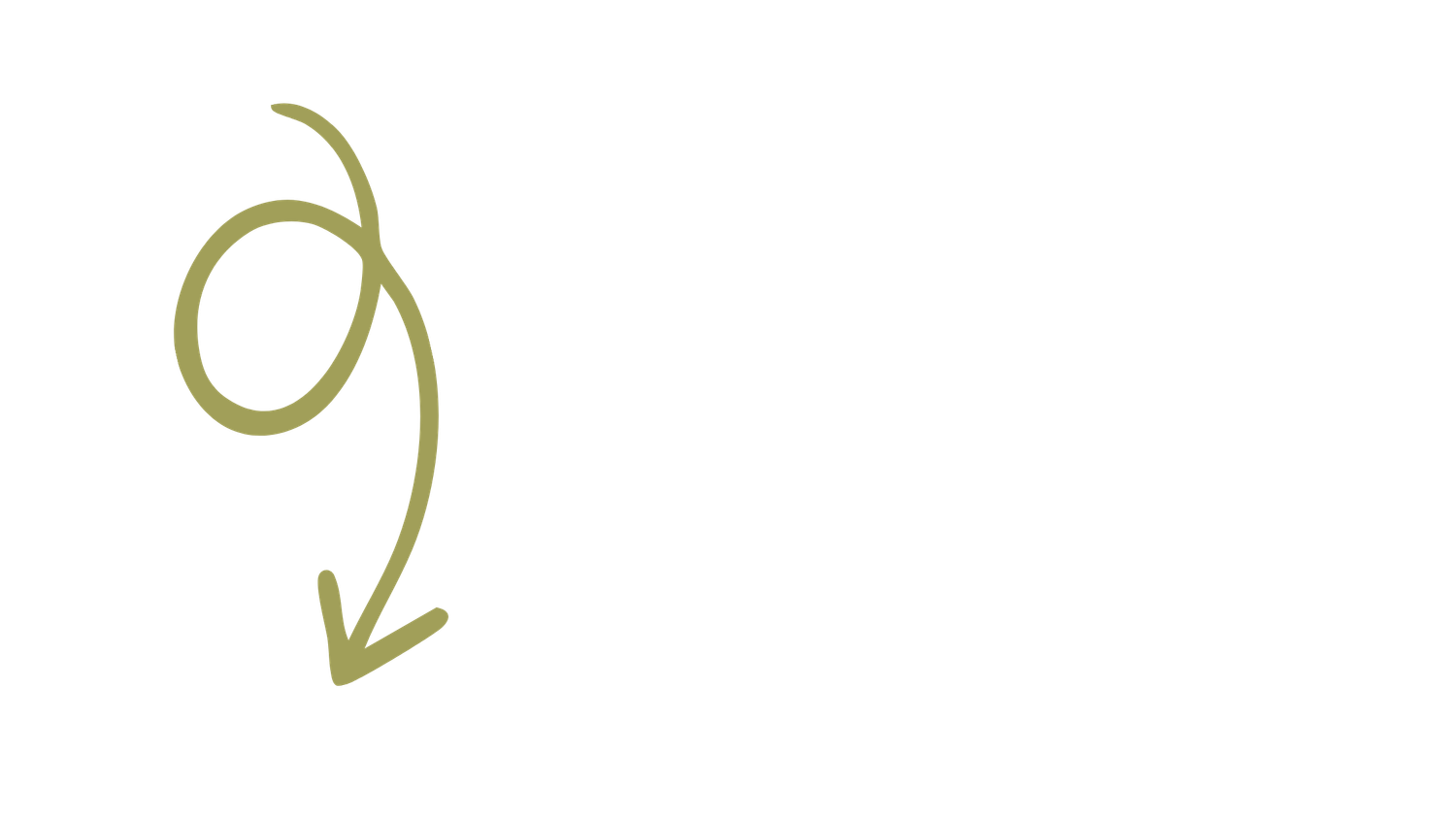 An olive green hand-drawn spiral arrow curving downward on a white background.