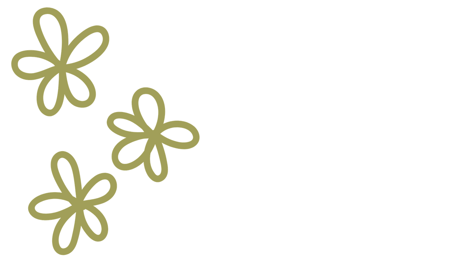 Three olive green daisy flower outline illustrations arranged decoratively in the corner.