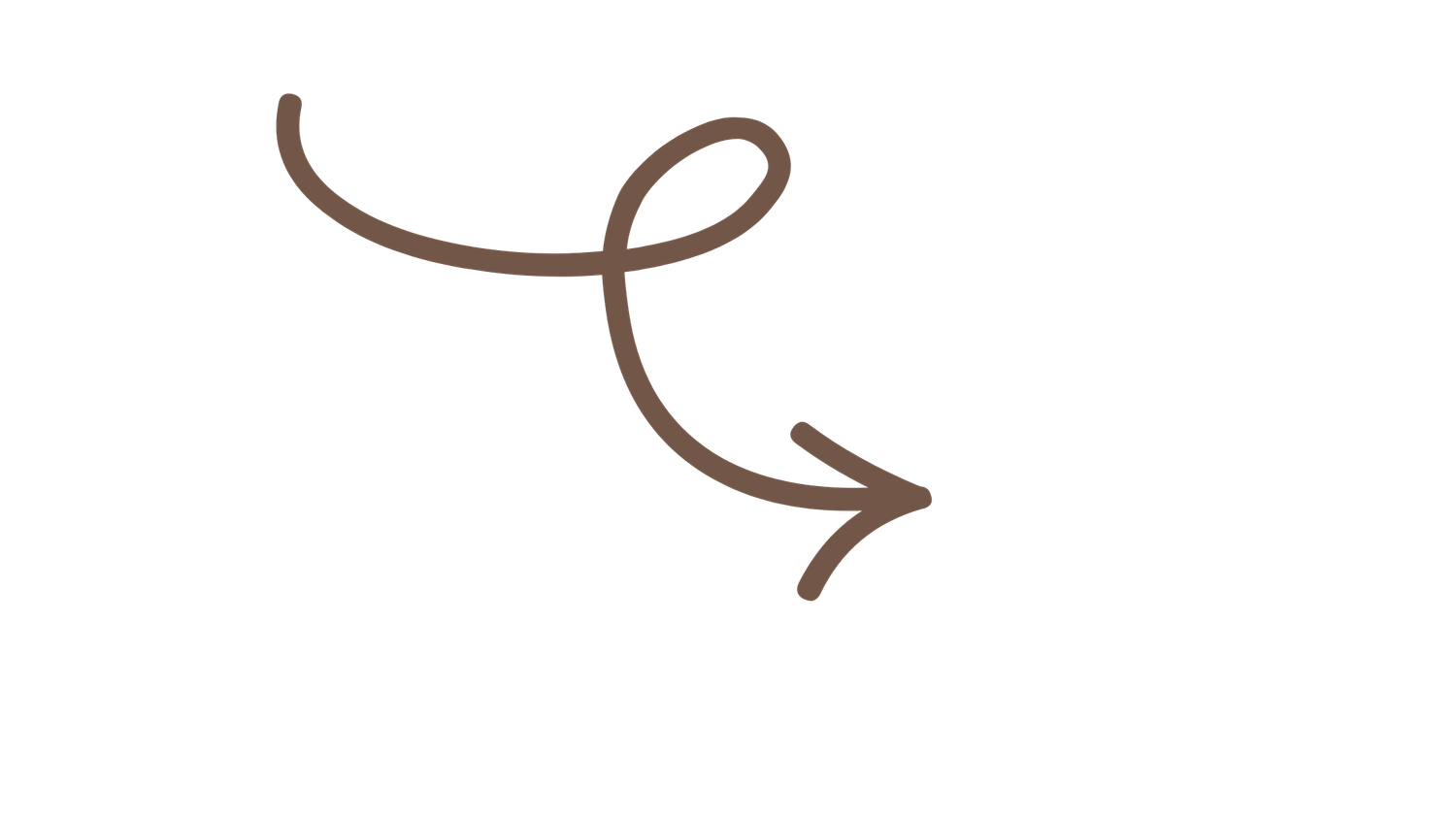 A brown hand-drawn curly arrow pointing right on a white background.