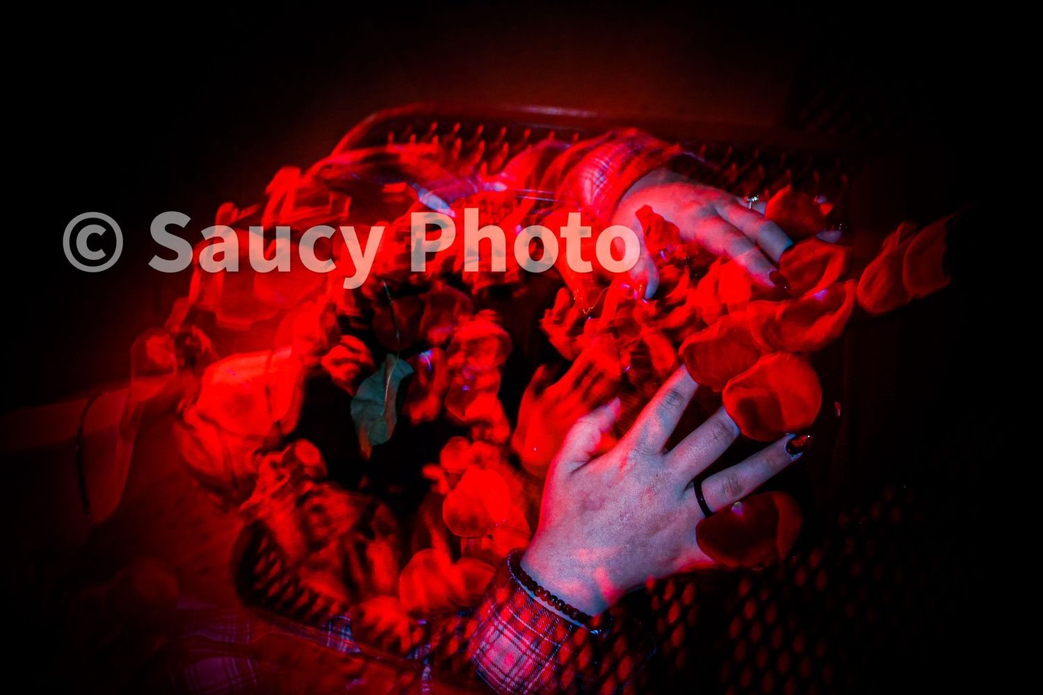 Explore the diverse portfolio of Saucy Photo by Javier. From professional portrait sessions to stunning fine art landscape prints and art.