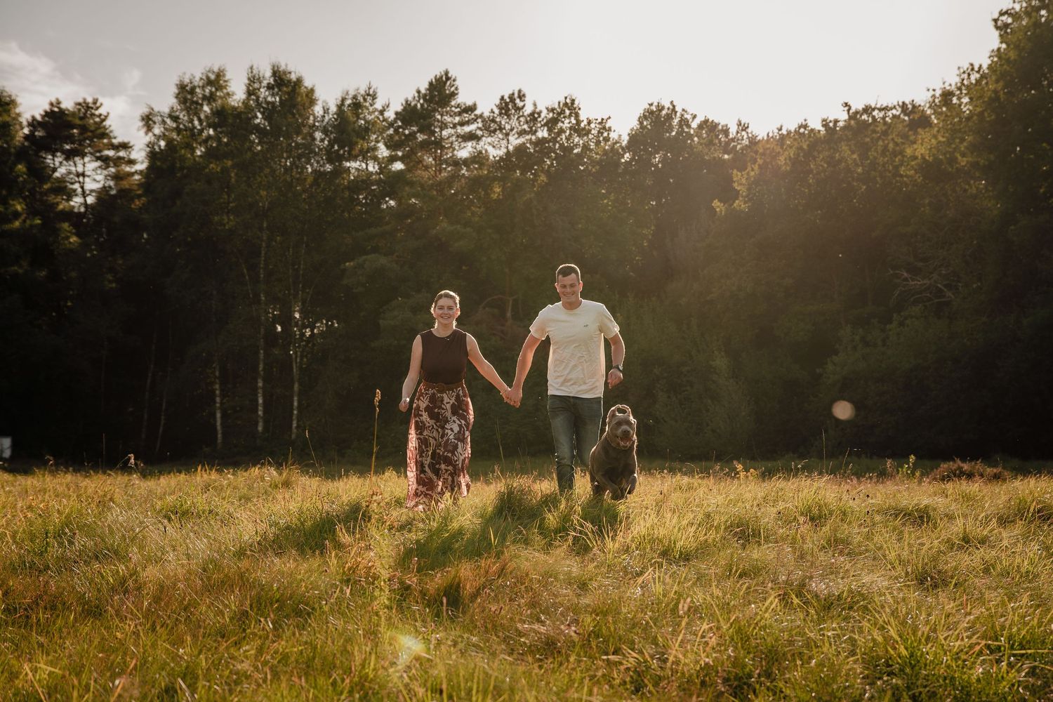 Paar mit seinem Hund hält Händchen und spaziert durch eine sonnige Wiese, während im Hintergrund hohe Bäume im Abendlicht leuchten.