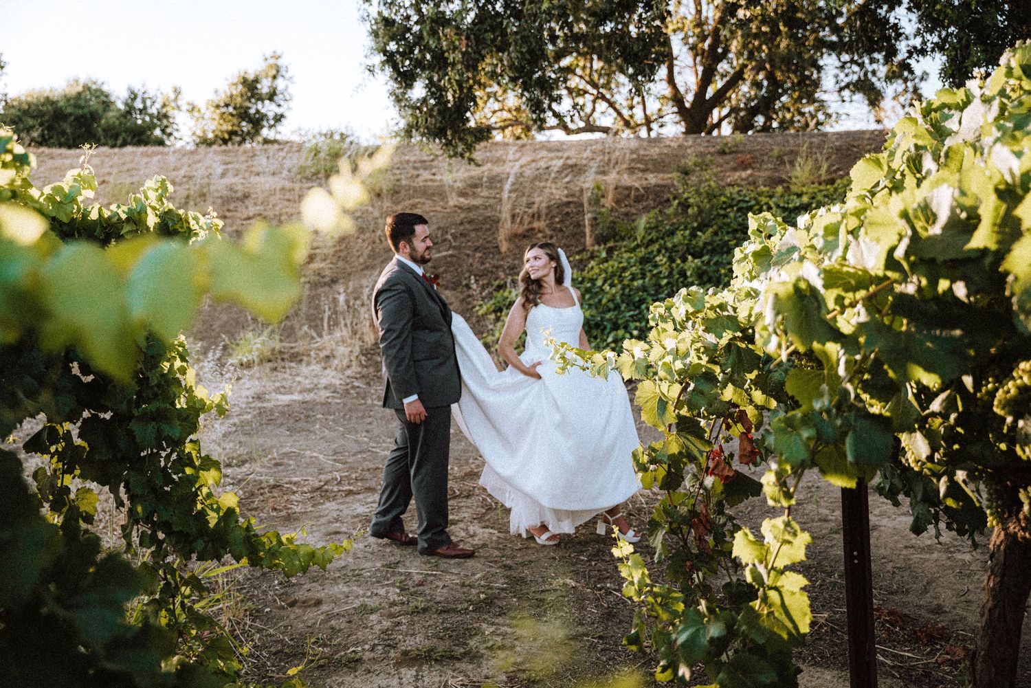 A couple in wedding attire share a romantic moment among green vineyard rows at sunset.