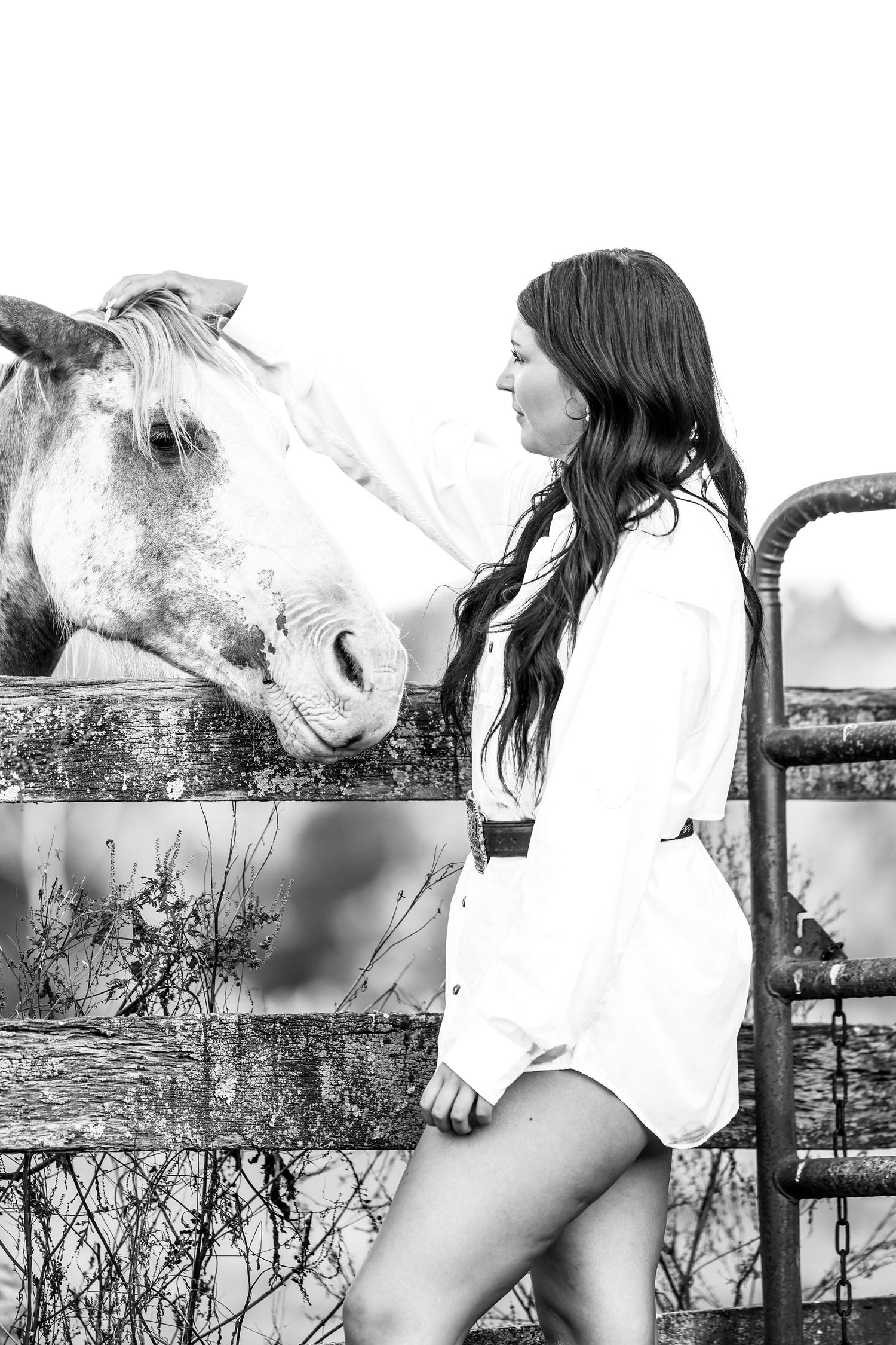 NC wedding photographer senior, family, couples, equine