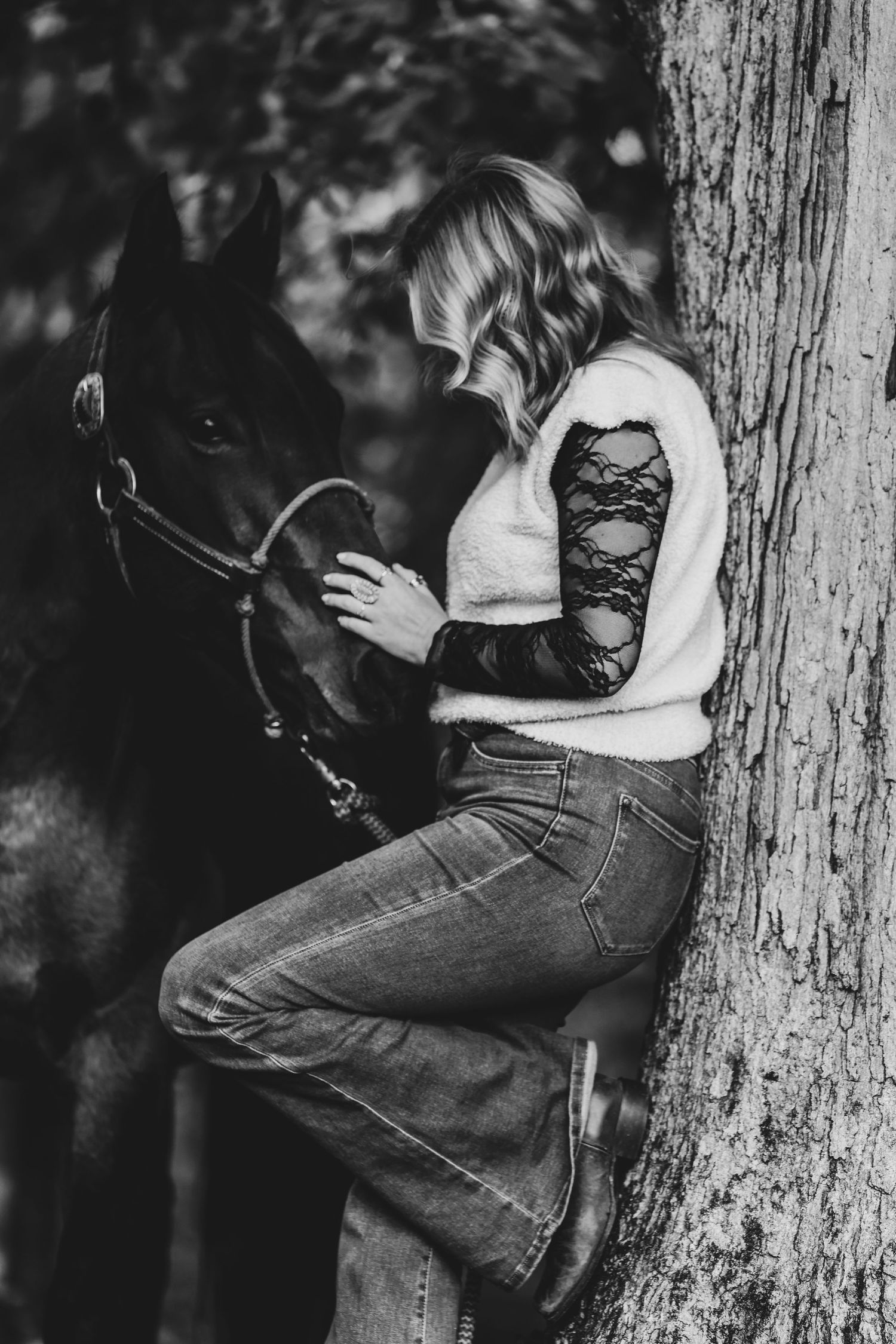 nc family photographer salisbury  Statesville mooresville seniors equine