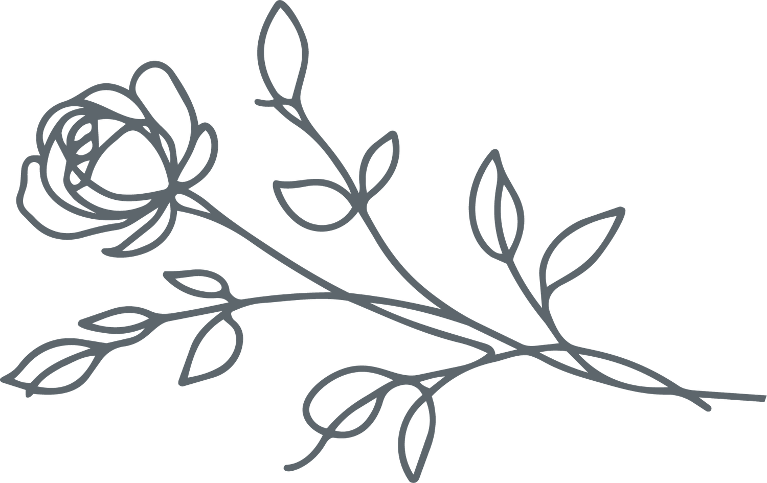 Elegant gray line art illustration of a rose with long stem, multiple leaves, and buds on white background.