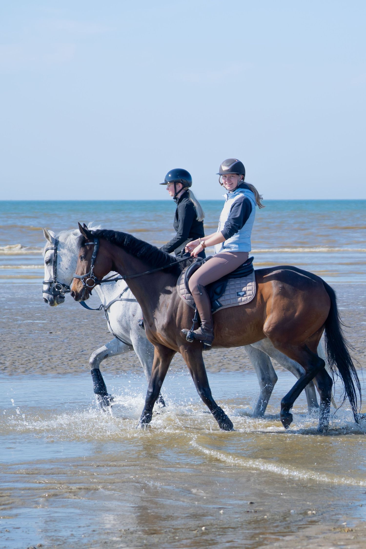 Horses splashing through ocean waves during beach riding adventure.
