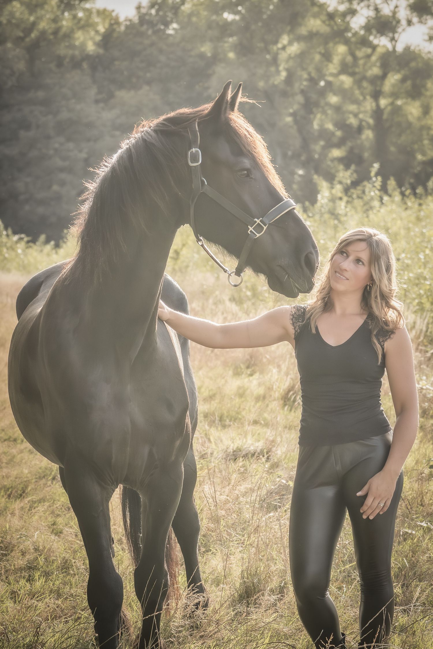 A series of outdoor photos showing a black horse and a person in a black outfit standing together in a sunlit meadow.