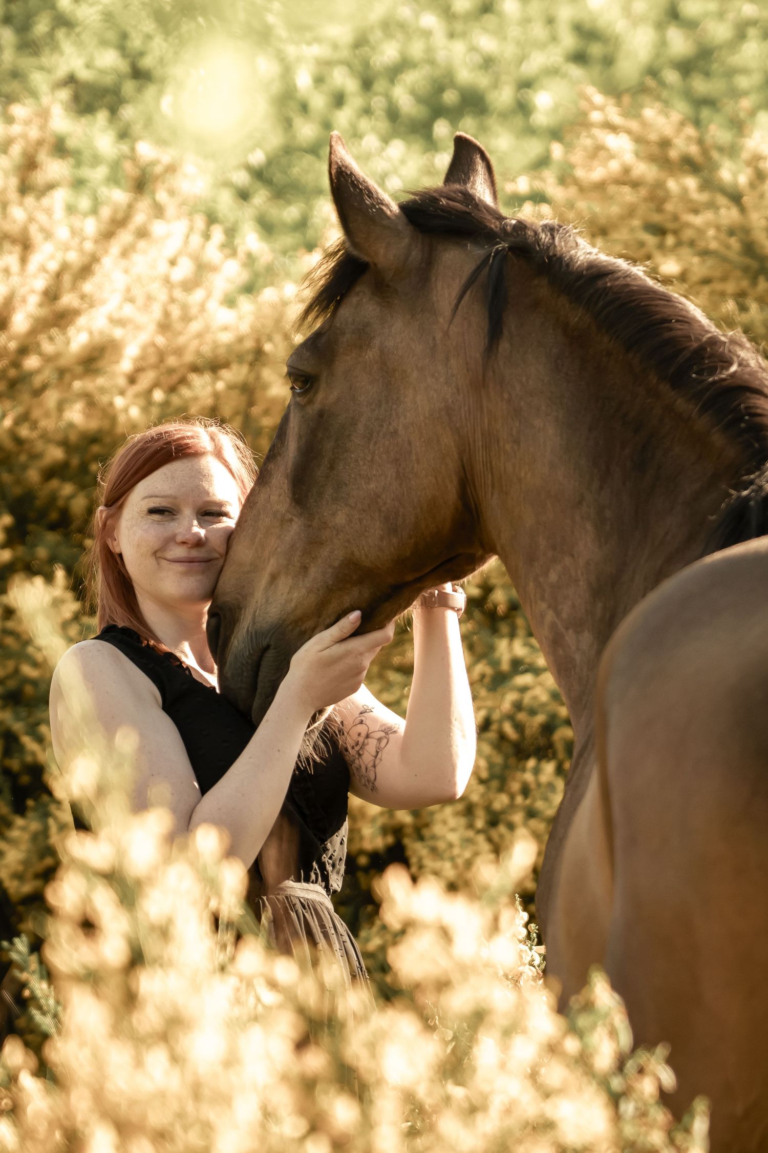 Sweet interaction between person and horse in golden afternoon sunlight.
