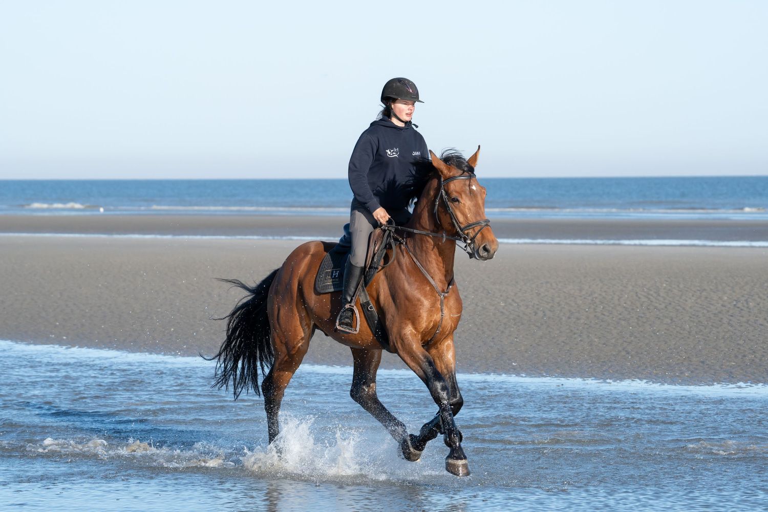 Horses splashing through shallow coastal waters during a beach ride.