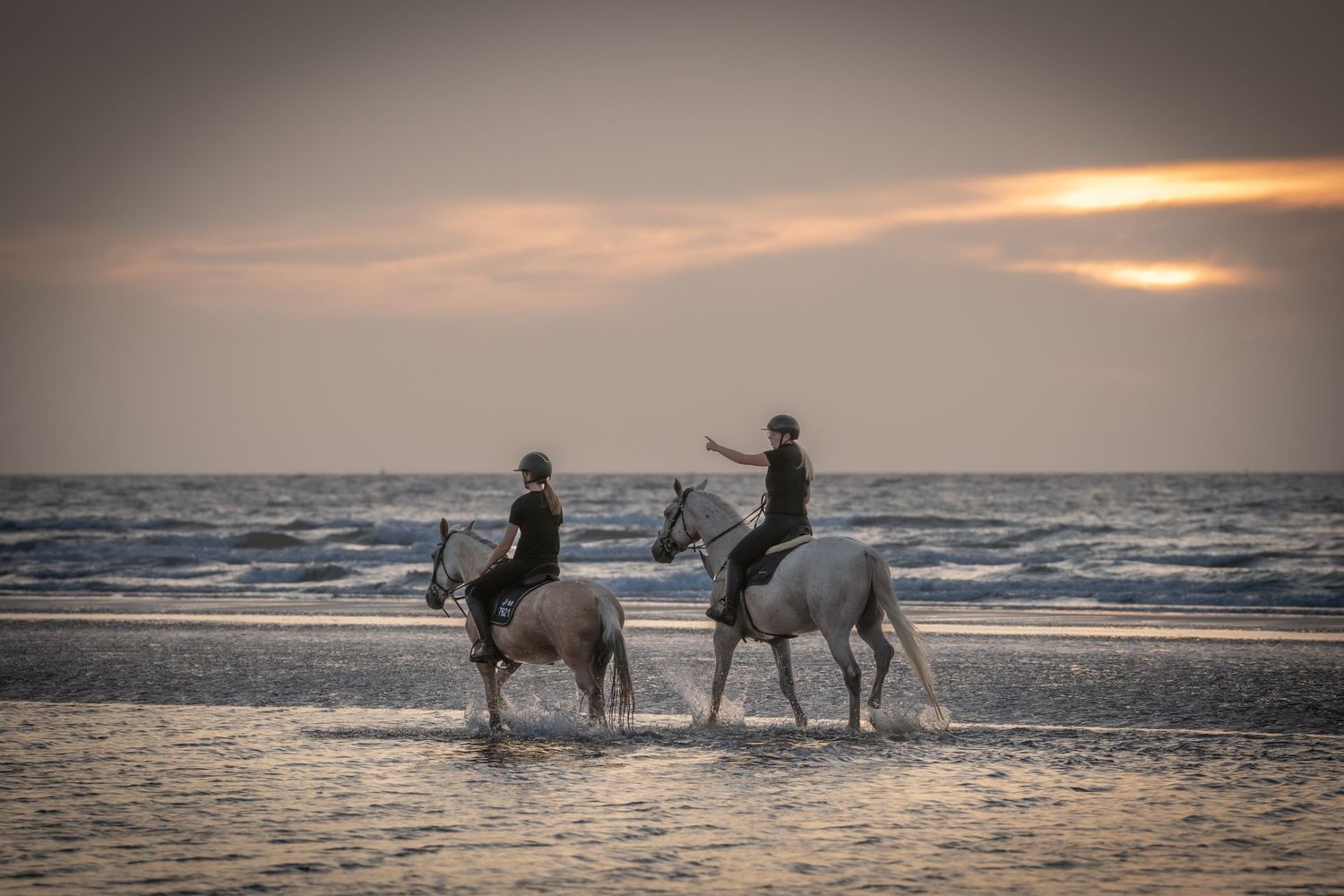 Silhouettes of horse riders walking along a misty beach at sunset with waves crashing on the shore.