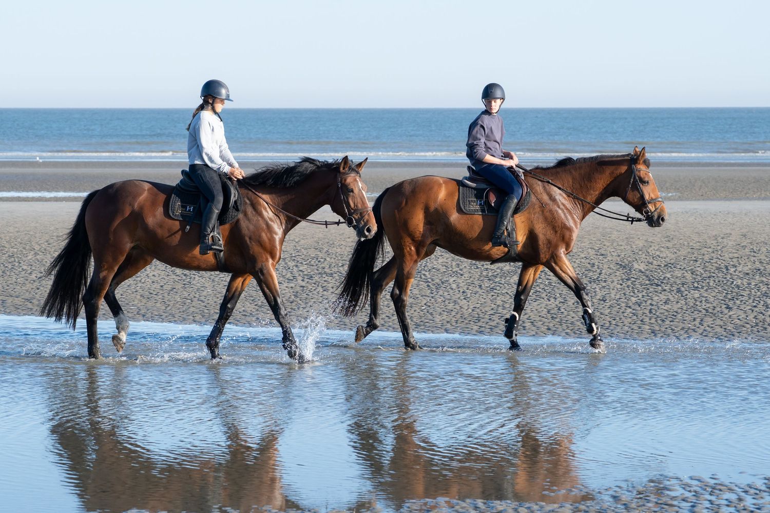 Horses wading through tranquil beach waters as riders enjoy an oceanside trek.